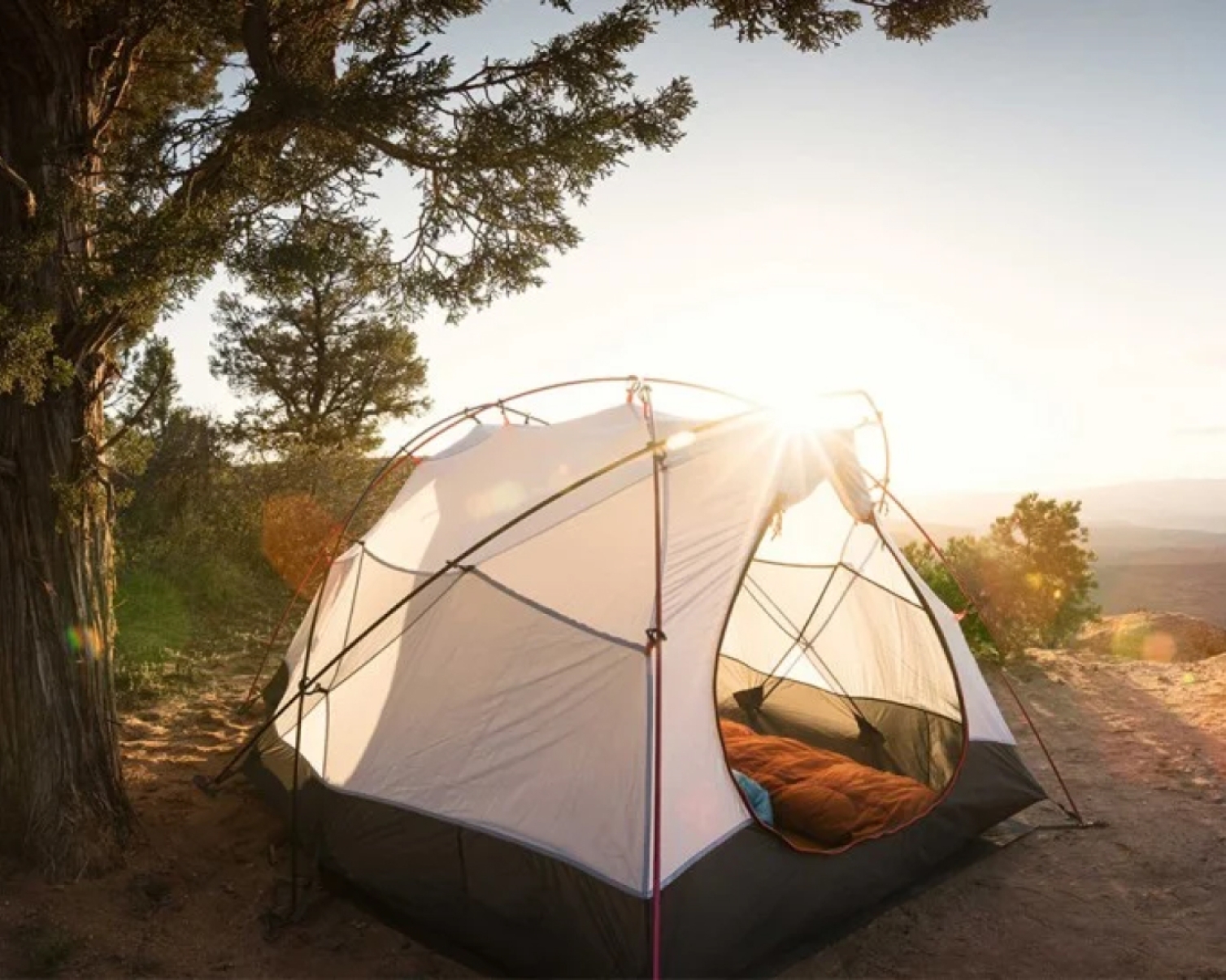 This is Second Post For Themevolty